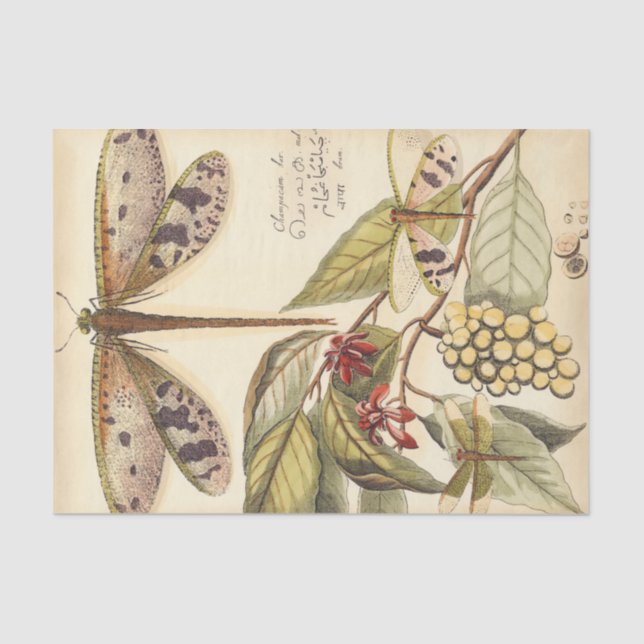 Dragonflies with Leaves and Fruit Tissue Paper (Front)