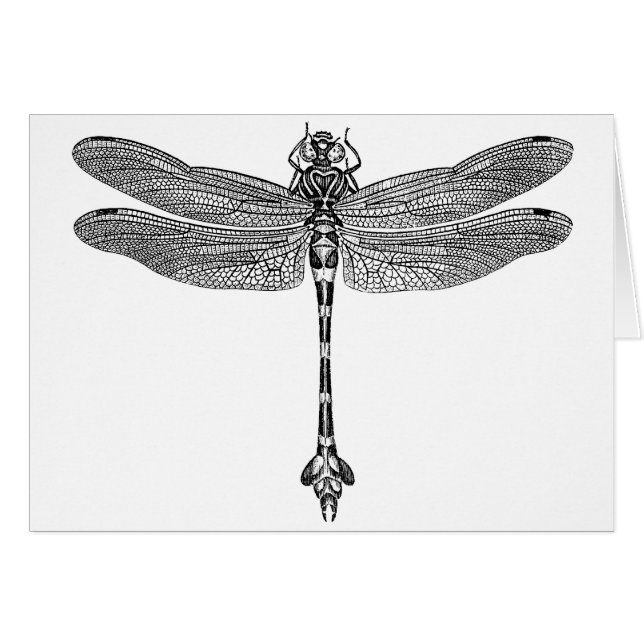 Dragonfly (Front Horizontal)
