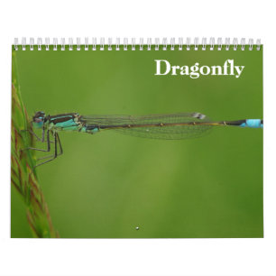 Dragonfly 2026 calendar