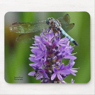 Dragonfly 2 mouse pad