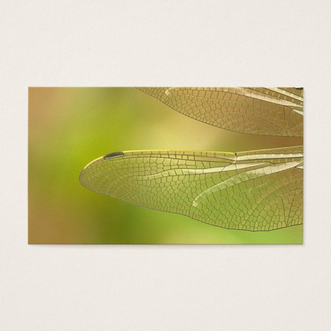 dragonfly-348433 dragonfly insect animal wing sum (Devant)