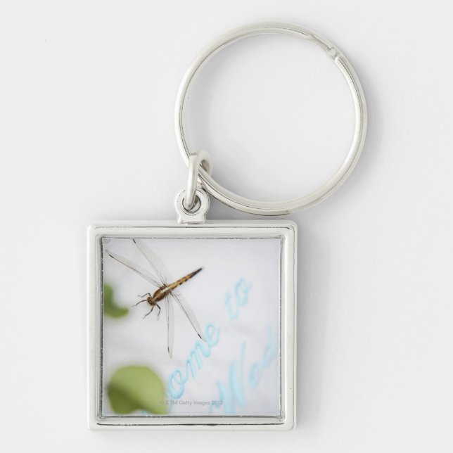Dragonfly 4 keychain (Front)