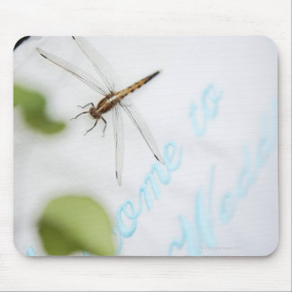 Dragonfly 4 mouse pad