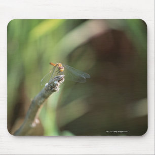 Dragonfly 5 mouse pad