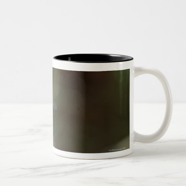 Dragonfly 5 Two-Tone coffee mug (Right)