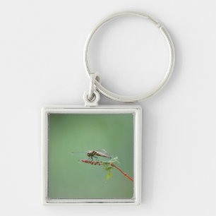 Dragonfly 6 keychain