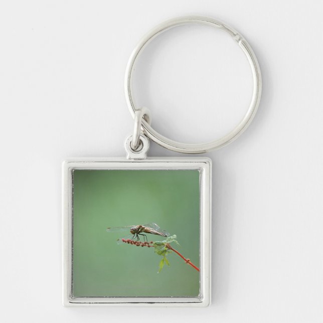 Dragonfly 6 keychain (Front)