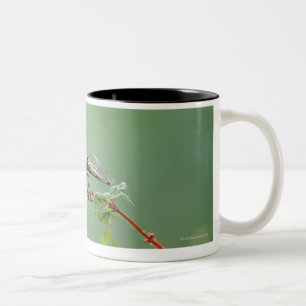 Dragonfly 6 Two-Tone coffee mug