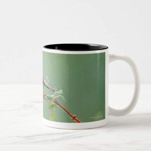 Dragonfly 6 Two-Tone coffee mug (Right)