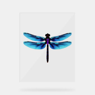 dragonfly acrylic sign