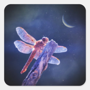 Dragonfly and Crescent Moon Mystical Square Sticker