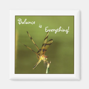 Dragonfly Balance Magnet 2