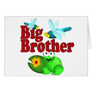 Dragonfly Big Brother