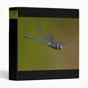 dragonfly binder