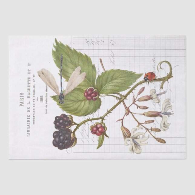 Dragonfly Blackberry Ladybug French Vintage Craft Tissue Paper (Front)