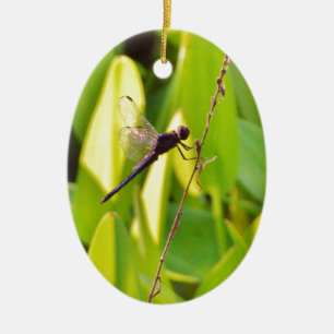 Dragonfly Blue and black on grass. Ceramic Ornament