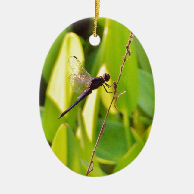 Dragonfly Blue and black on grass. Ceramic Ornament (Front)