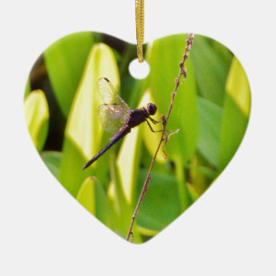 Dragonfly Blue and black on grass. Ceramic Ornament