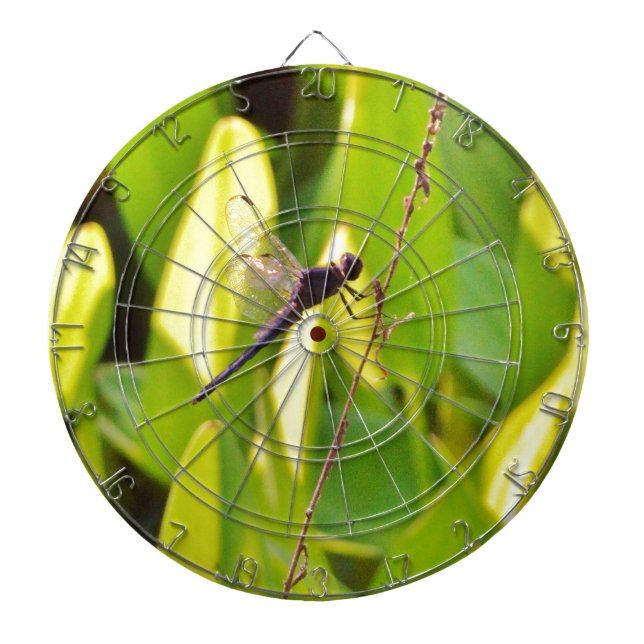Dragonfly Blue and black on grass. Dartboard (Front)