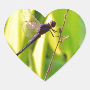 Dragonfly Blue and black on grass. Heart Sticker