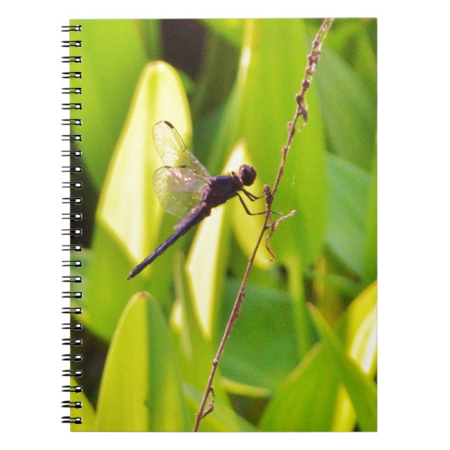 Dragonfly Blue and black on grass. Notebook (Front)