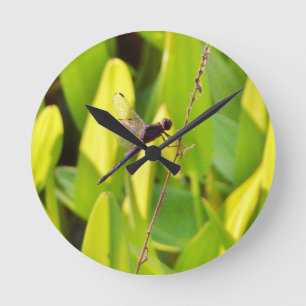 Dragonfly Blue and black on grass. Round Clock