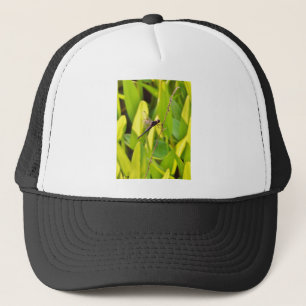 Dragonfly Blue and black on grass. Trucker Hat
