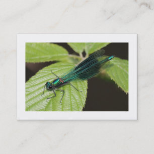 Dragonfly (Bordered) Business Card