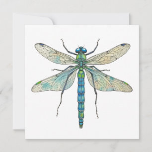 Dragonfly Botanical Art Insect Lovers Nature Fan Card