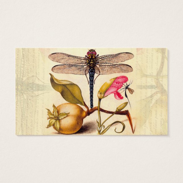 Dragonfly Botanical Nature Wildlife (Back)