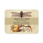 Dragonfly Botanical Nature Wildlife