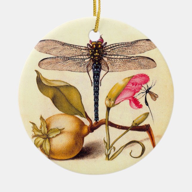 Dragonfly Botanical Nature Wildlife Ceramic Ornament (Front)
