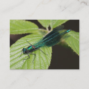 Dragonfly Business Card