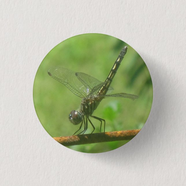 Dragonfly Button (Front)