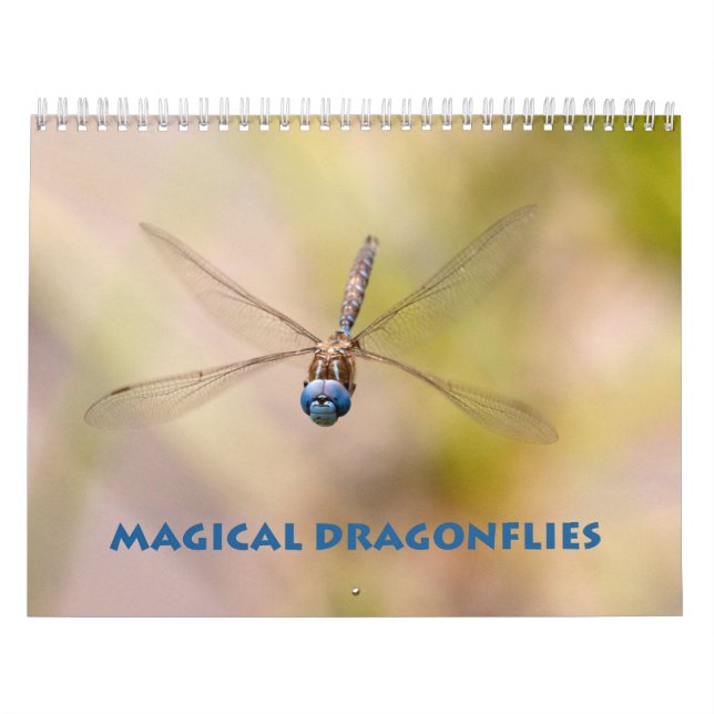 Dragonfly Calendar (Cover)