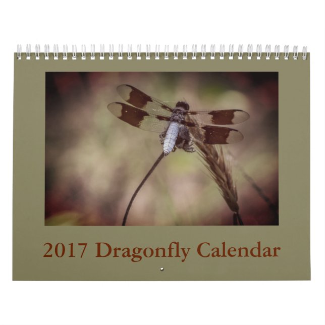 Dragonfly Calendar (Cover)