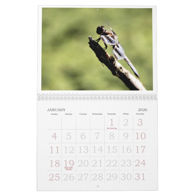 Dragonfly Calendar 2011 (Jan 2026)