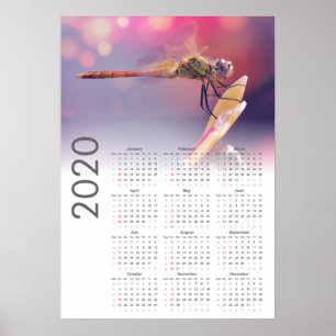 Dragonfly Calendar 2020 Poster