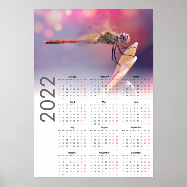 Dragonfly Calendar 2022 Poster - Monday start (Front)