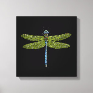 Dragonfly Canvas Print