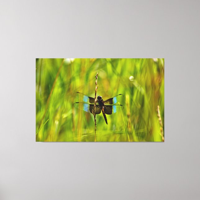 Dragonfly Canvas Print (Front)