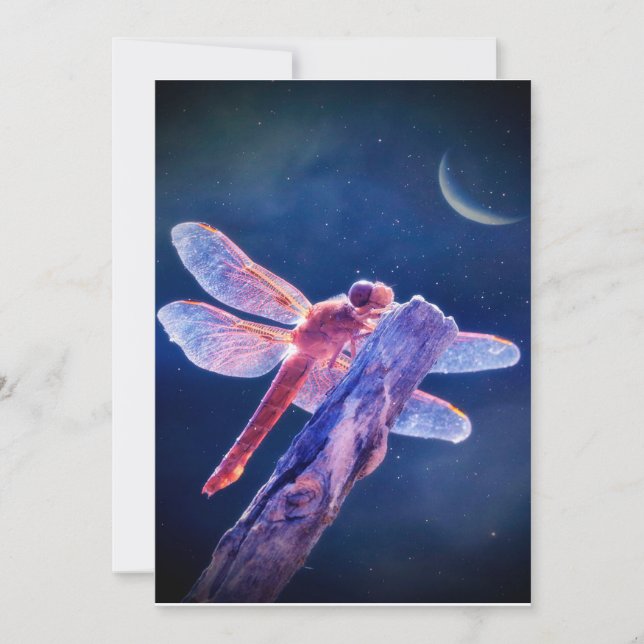 Dragonfly Canvas, women's soft, cute boho Canvas (Front)