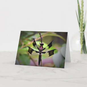Dragonfly, card