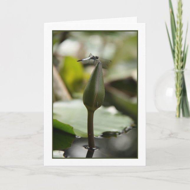 Dragonfly Card (Front)