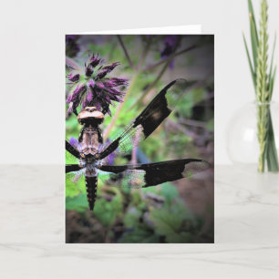 Dragonfly, card