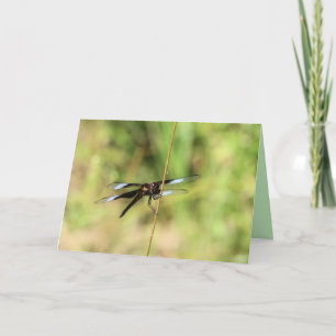 Dragonfly Card