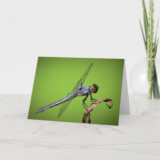 Dragonfly, carte (Devant)