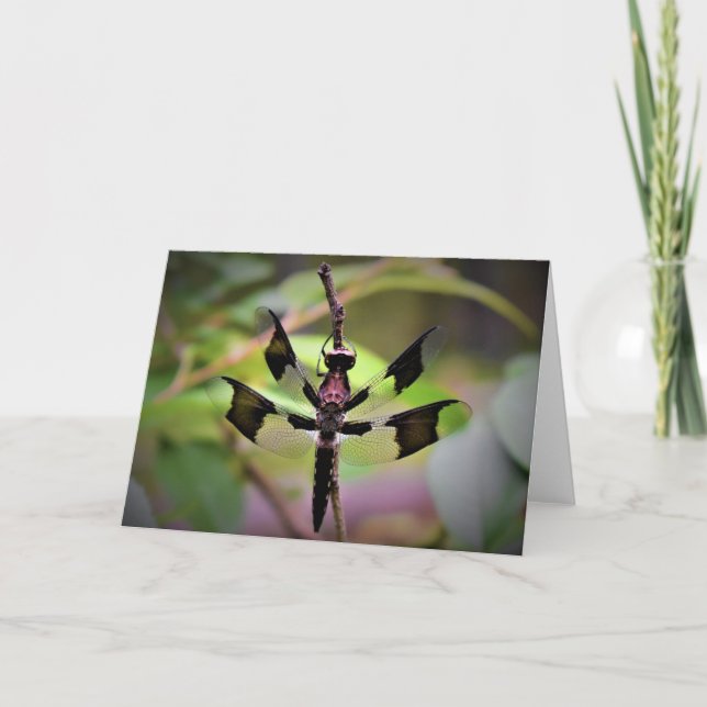 Dragonfly, carte (Devant)