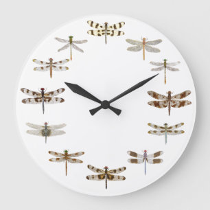 Dragonfly Clock