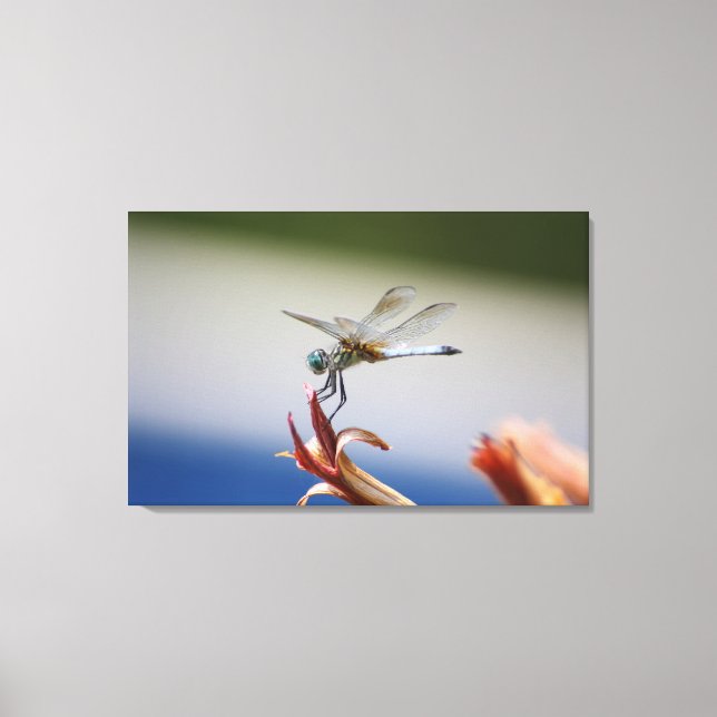 Dragonfly Close Up Photo Wall Art (Front)